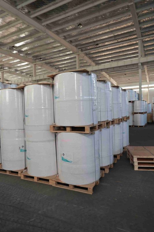 BPA-Free Thermal Paper Roll for POS Receipts, ATM printer paper, oil-resistant thermal roll – 5+ Year Image Life