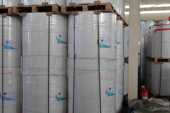 Rolka papieru termicznego niezawierająca BPA do paragonów POS – trwałość obrazu ponad 5 lat